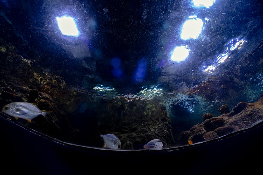Istanbul Aquarium