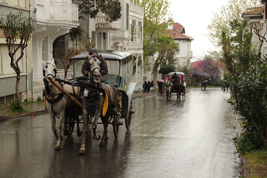Büyükada