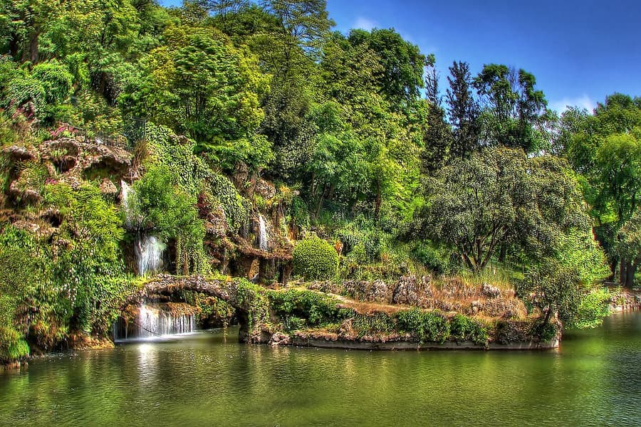 Emirgan Grove